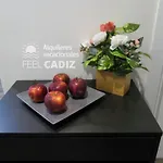 Апартаменты Apartamento Damia Grupo Ac Gestion