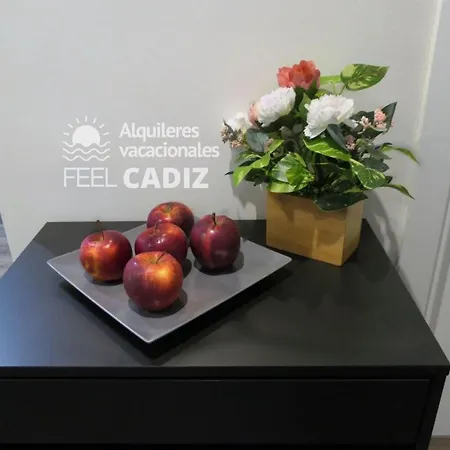 Apartment Damia, Feel