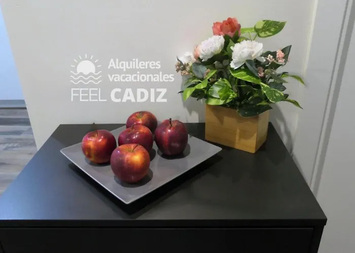 Apartment Damia, Feel