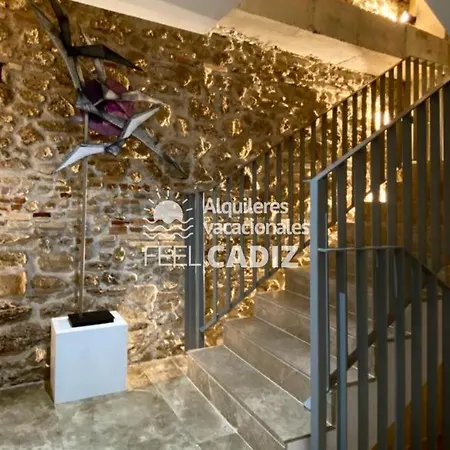 Damia, Feel * קדיז